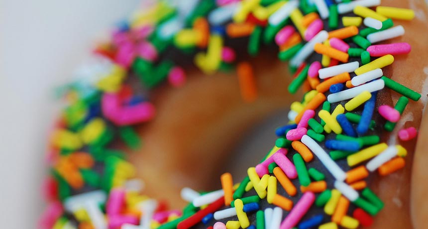 doughnut