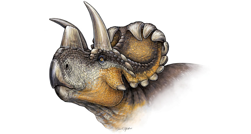 Wendiceratops pinhornensis