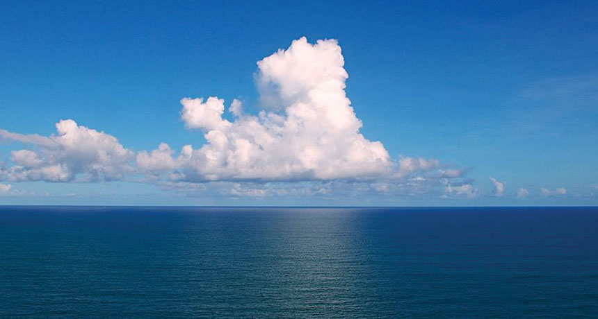 Ocean
