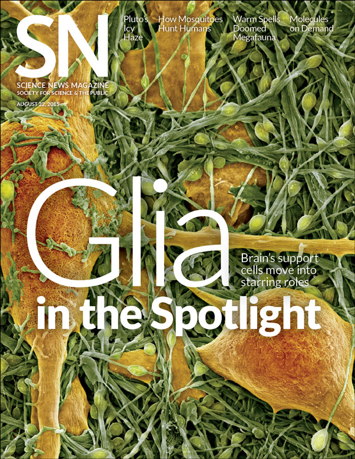 Cover of August 22, 2015 issue
