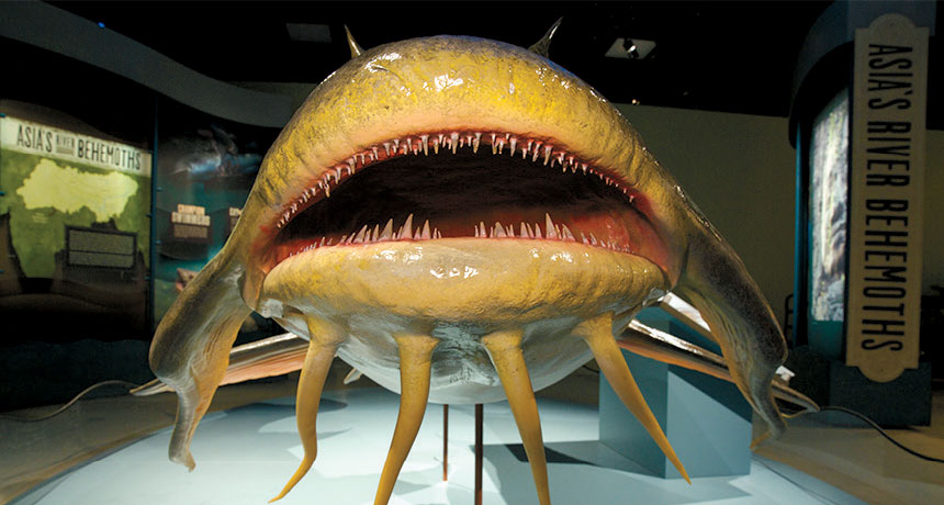 fish sculpture