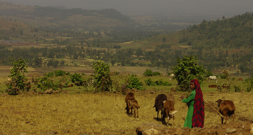 Ethiopian highlands