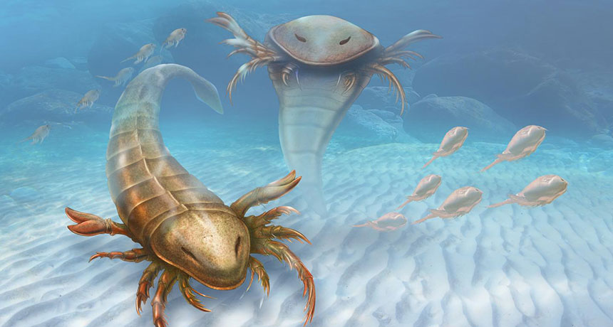 illustration of giant sea scorpion
