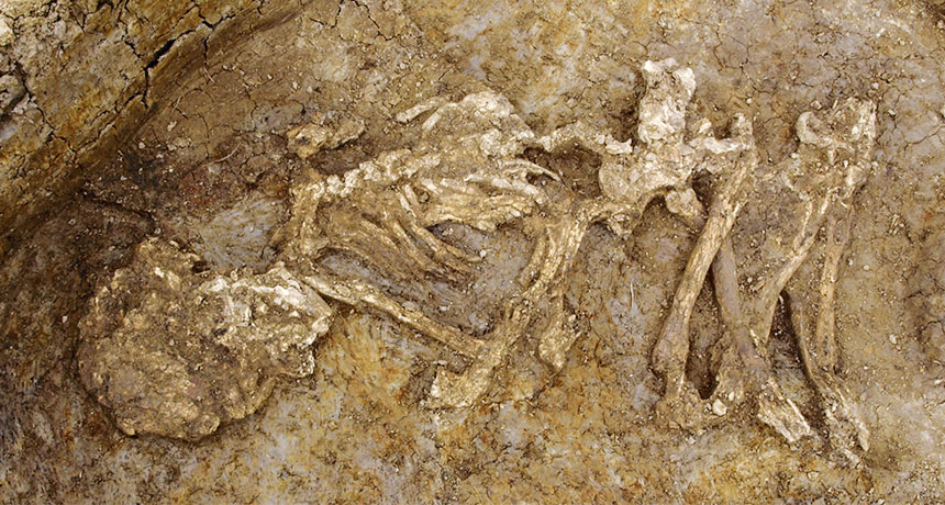 Bronze age skeleton