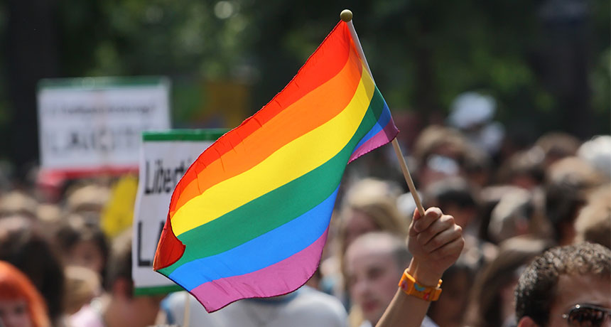 gay pride flag