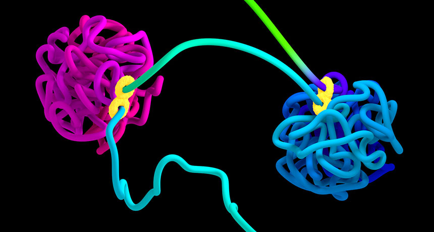 DNA folds