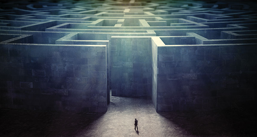 virtual maze