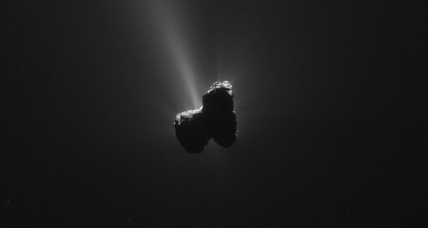rosetta