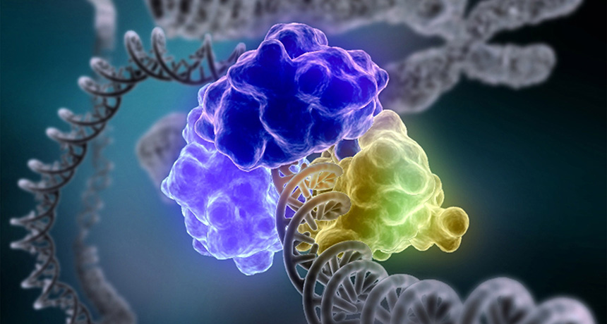 dna ligase
