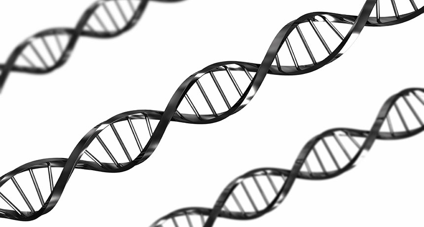 DNA folds