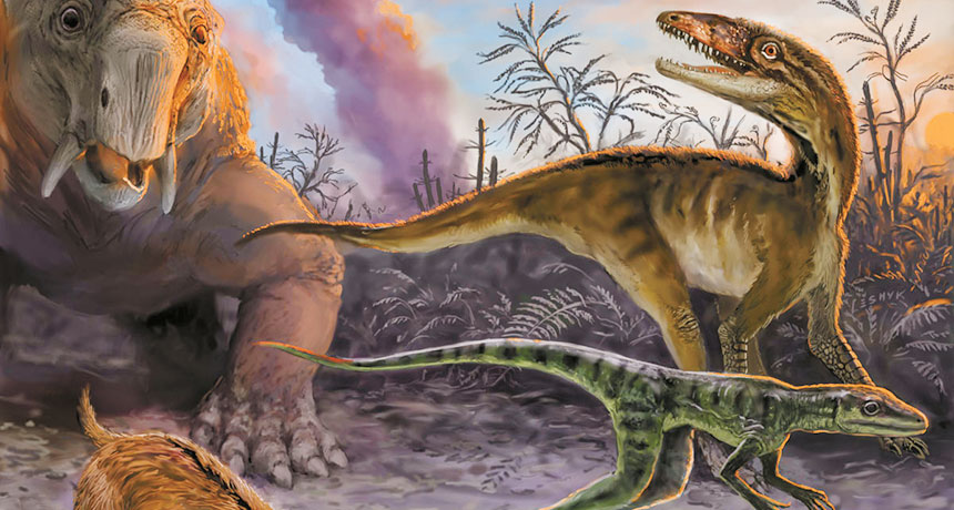 illustration of  dinosauromorphs
