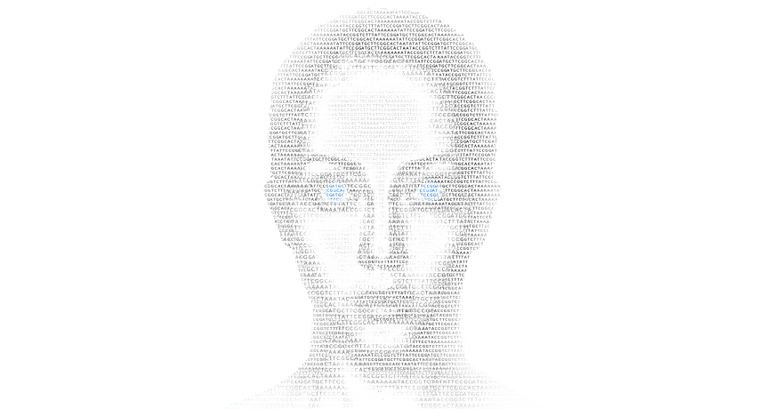 facial sketch