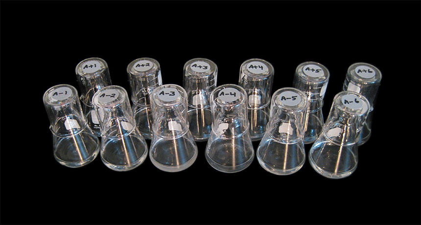 Flasks