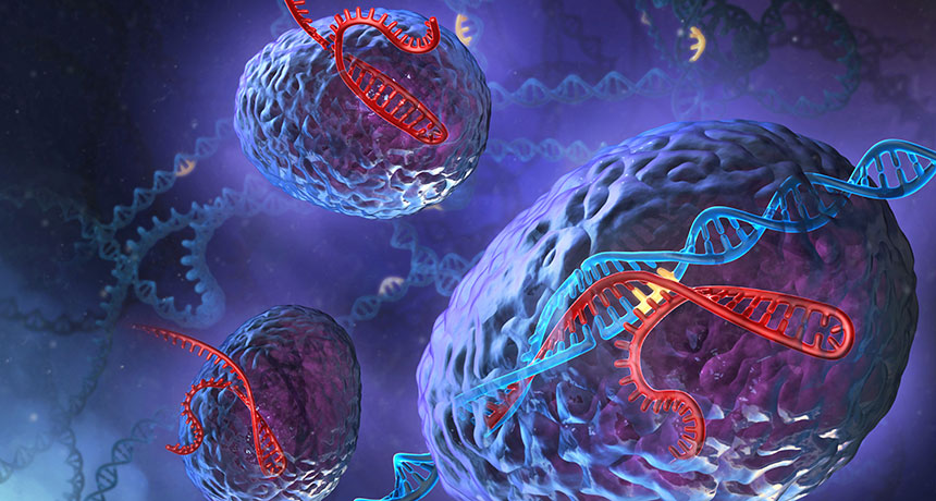 CRISPR