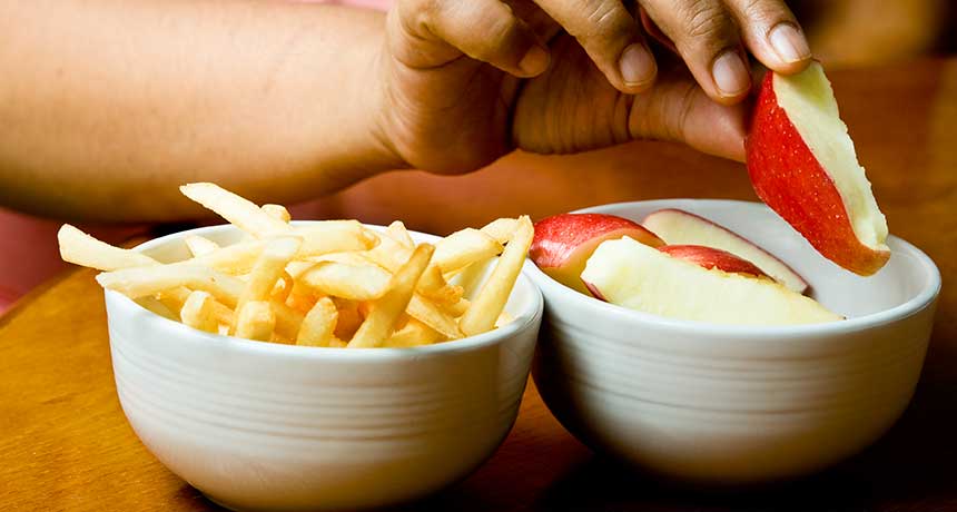 fruit and fries