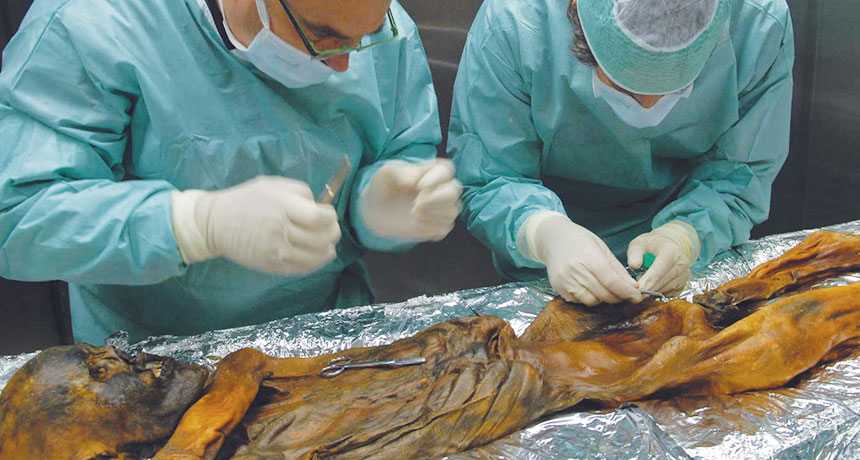 stomach tissue