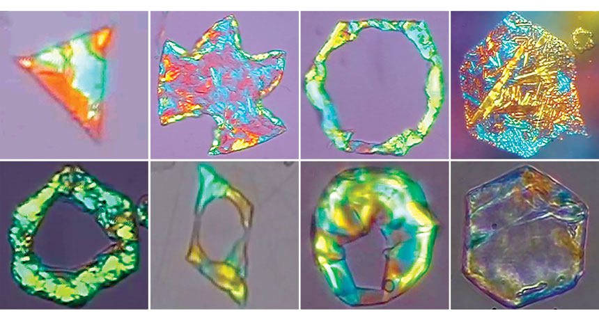 oil droplet shapes