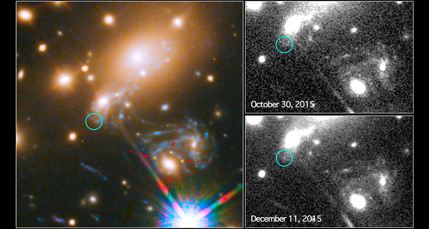 images of Supernova Refsdal
