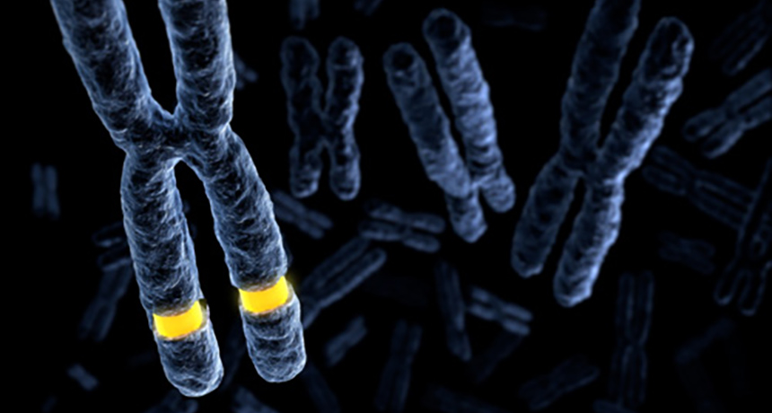 fragile X mutation