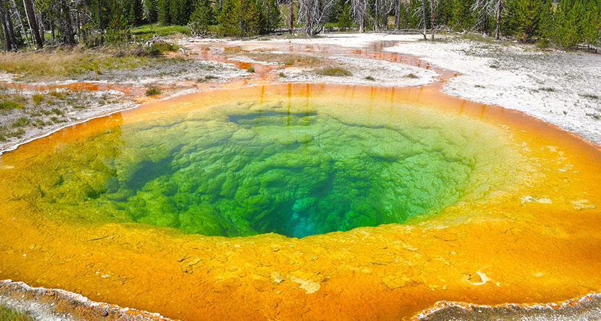 morning glory hot spring