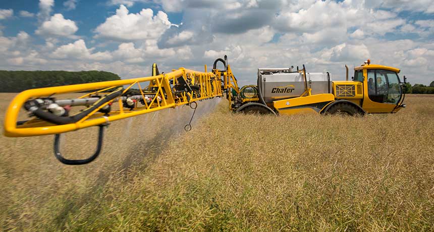 glyphosate