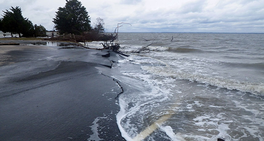 East Coast Beach