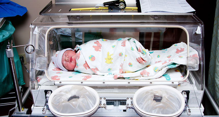incubator