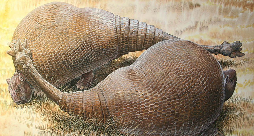 glyptodonts