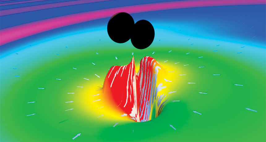 Black hole merger