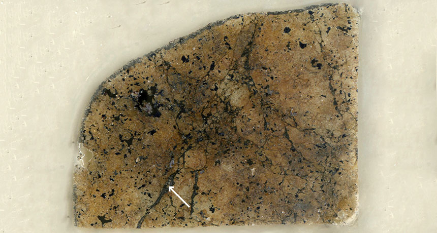 slice of a meteorite
