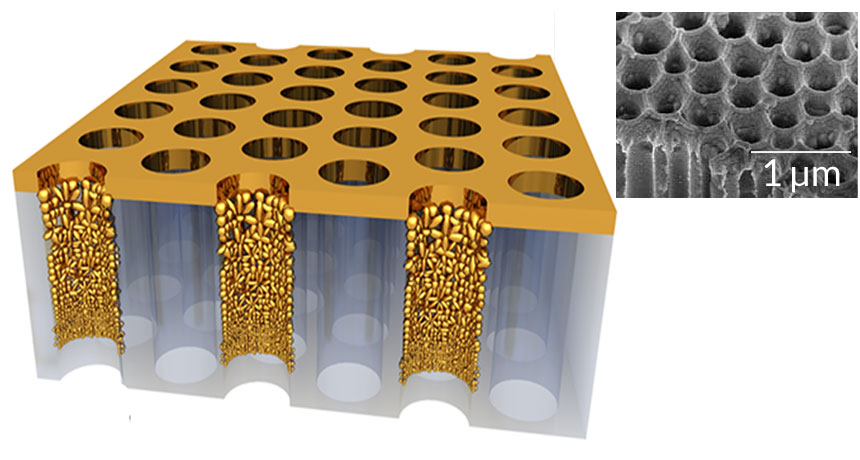 Gold nanoparticles