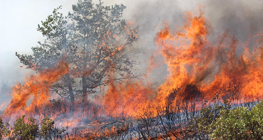wildfire