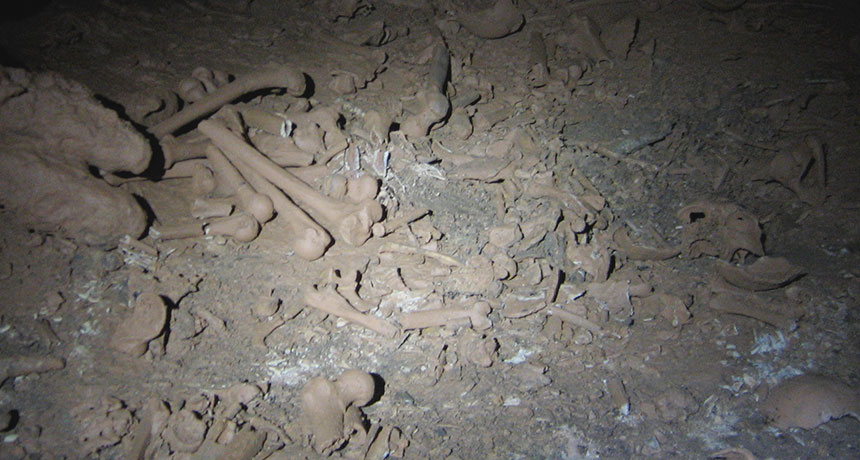Belize’s Midnight Terror Cave