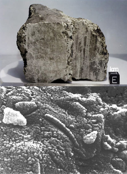 martian meteorites