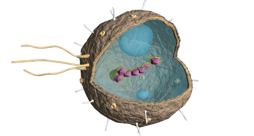 illustration of alien microbe