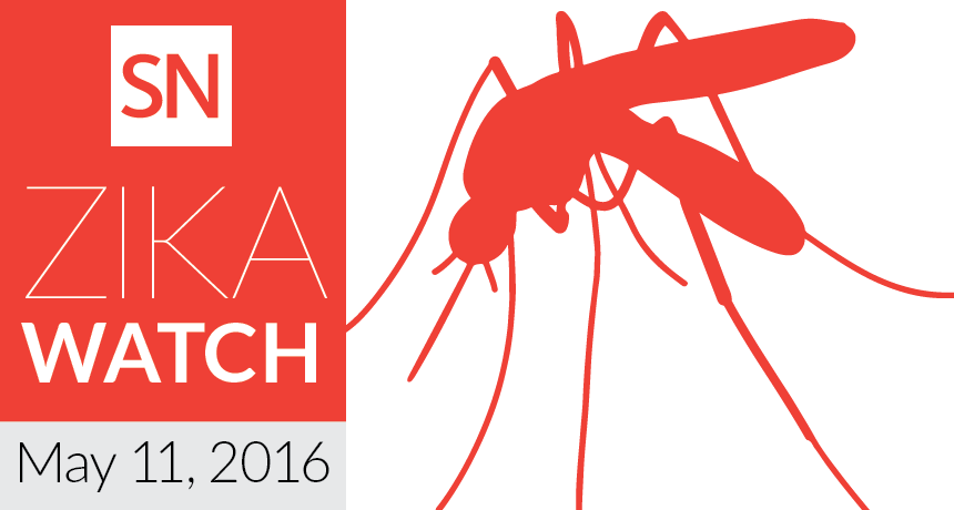 zika watch
