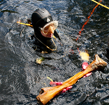 bone diver