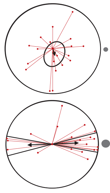urchin spots