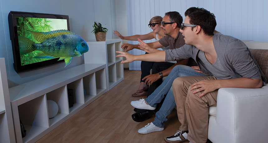 people watching a 3-D TV