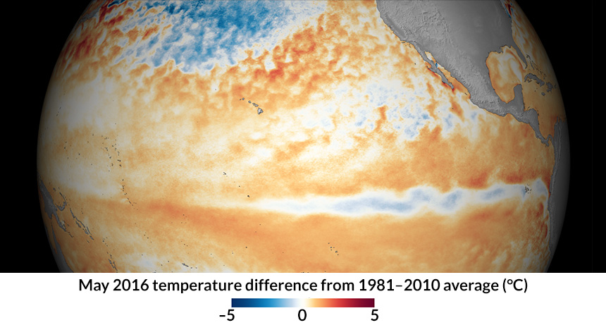 graphic of difference in seawater temperature, May 2016