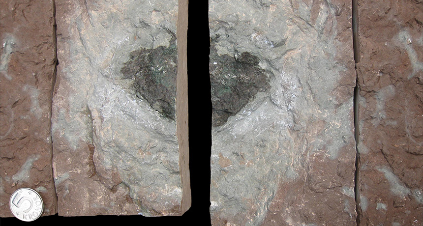 Meteorites