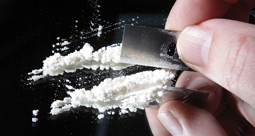Cocaine addicts can't kick other habits either