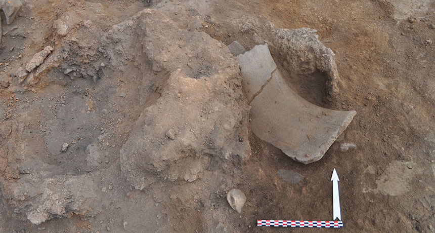 Ancient wine jug