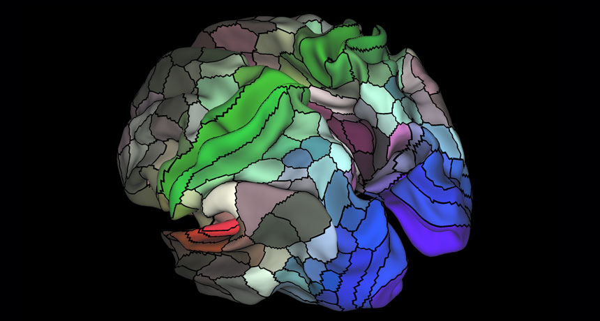 brain map