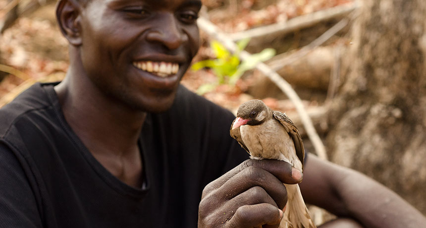 honey hunter in Mozambique