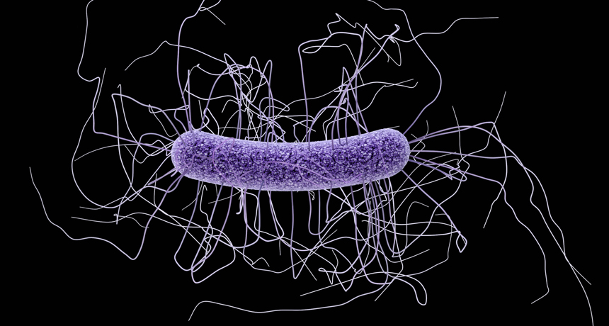 C. difficile