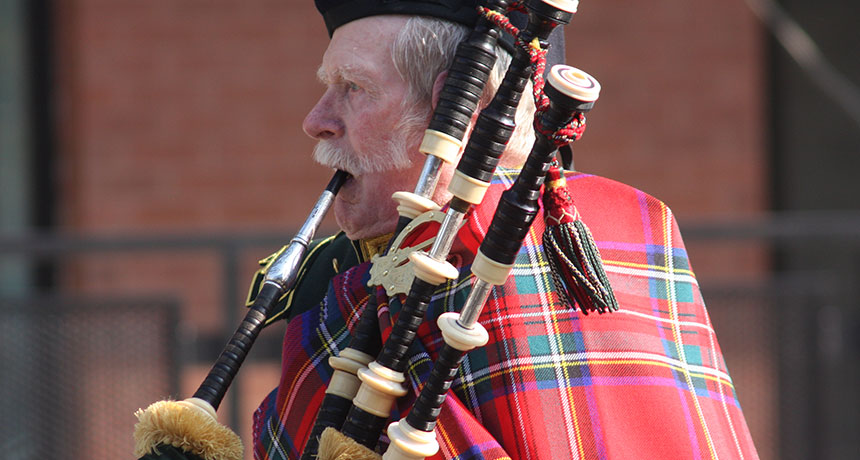 bagpipes