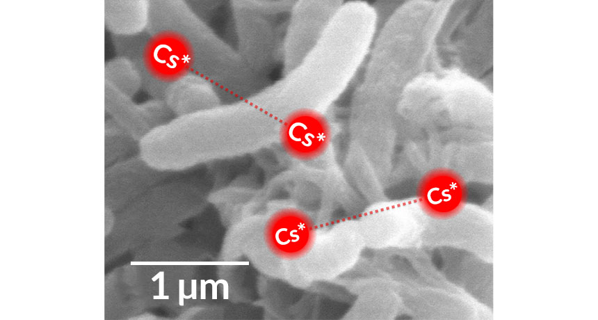 cesium atoms