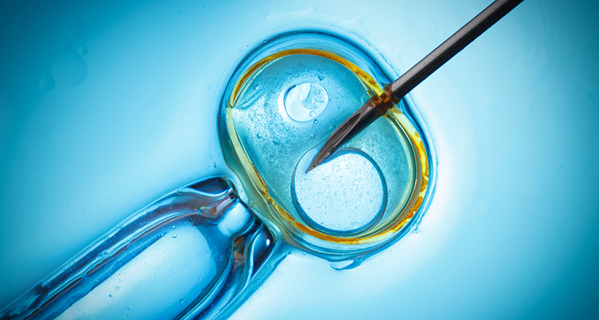 stem cell