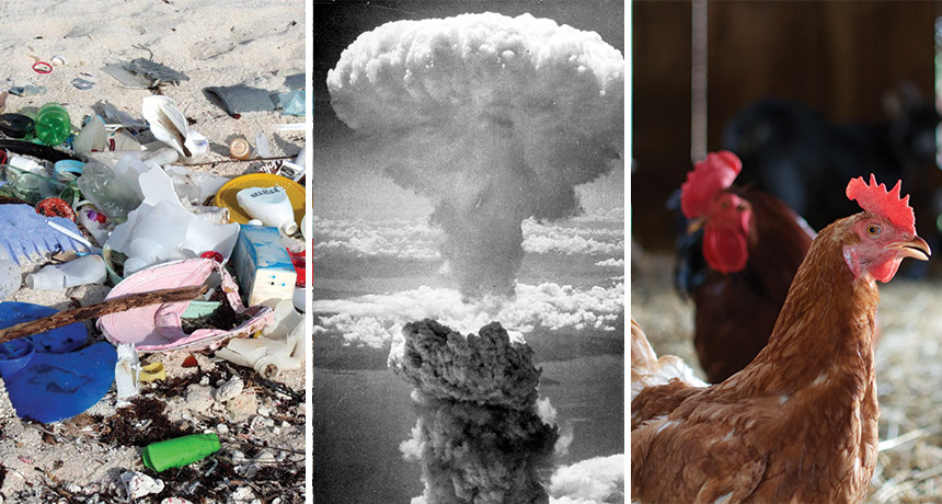 images of plastic, nuclear tests, chickens